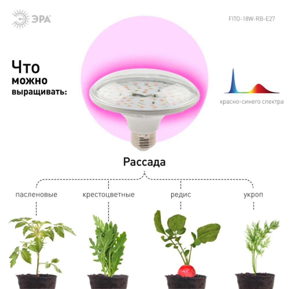 Фитолампа для растений светодиодная ЭРА FITO-18W-RB-E27 красно-синего спектра 18 ВТ Е27 | Фитолампы Е27