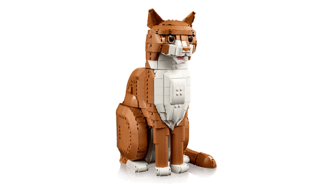 Конструктор LEGO Ideas 21376 Orange Cat