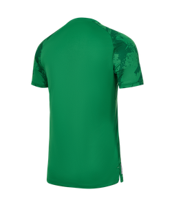 Футболка вратарская Jögel PREMIER PerFormDRY Spartak GK Jersey Green, зеленый