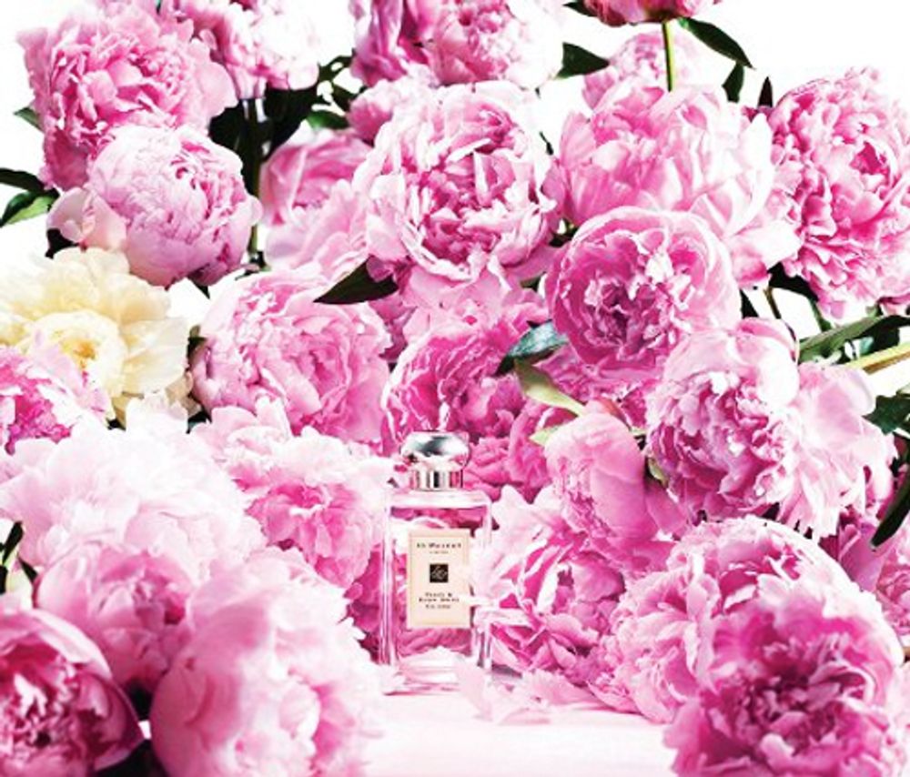 Jo Malone London Peony and Blush Suede