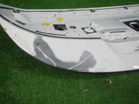 DSCN8241.JPG