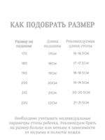 шлепанцы
