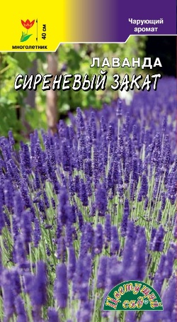 Лаванда Сиреневый закат 0,1г Ц ЦС