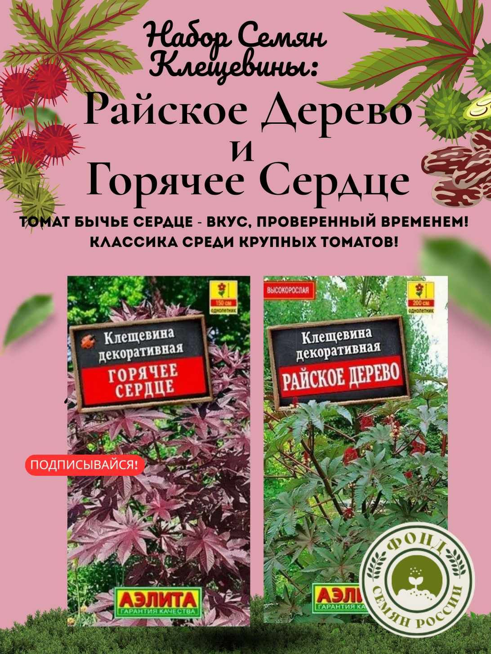 Набор Семян Клещевины Райское Дерево и Горячее Сердце, 10 шт. семян, 4 гр., 2 сорта