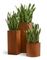 Кашпо TREEZ Effectory - серия Corten Steel - Высокий куб - Кортеновская сталь - Бархатистая окись