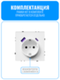 Розетка с зарядным устройством USB и Type-C Smart Aura серия PREMIER без рамки