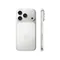 Смартфон Apple iPhone 17 Pro Max 1 ТБ Серебристый (eSIM) Silver