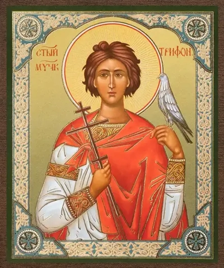 Икона "Трифон Апамейский" 10х12 на МДФ-6 (1012-1562)