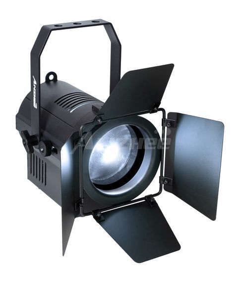 PROCBET Fresnel 300 ZOOM F, CW