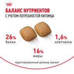 Royal Canin Pomeranian Adult Померанский Эдалт Корм сухой для взрослых собак породы Померанский Шпиц старше 8 месяцев 500г