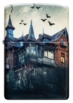 Зажигалка ZIPPO 48922 Horror House Design