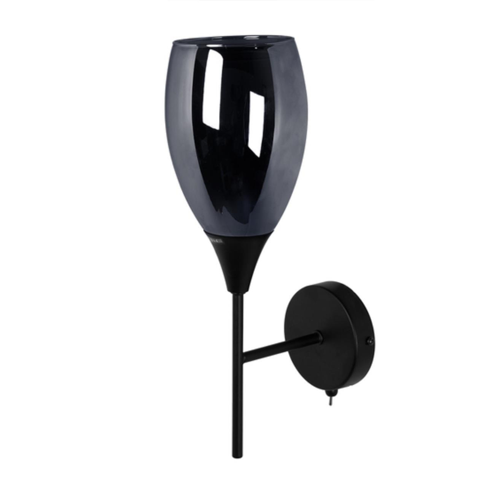 Настенный светильник Arte Lamp BARRY A7951AP-1BK