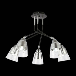 Светильник потолочный Evoluce Lirino SLE102902-05