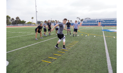Лесенка тренировочная SKLZ Quick Ladder