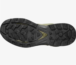 Ботинки "Salomon PRO v8 GTX"