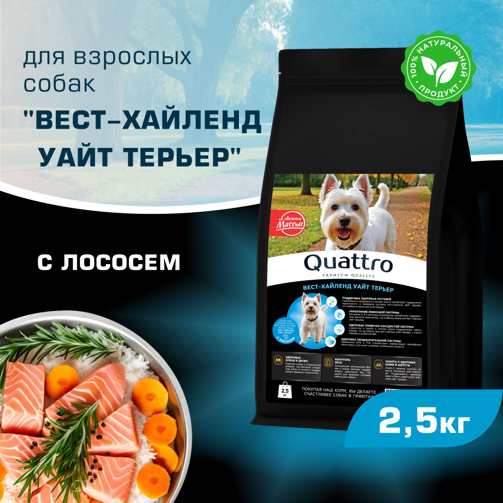 Корм сухой для взрослых собак породы Вест-хайленд уайт терьер, с лососем, 2,5 кг, QUATTRO