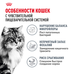 Royal Canin DIGESTIVE CARE (ДАЙДЖЕСТИВ КЭА) Корм сухой полнорационный для взрослых кошек для поддержания здоровья пищеварительной системы - 0,4 кг