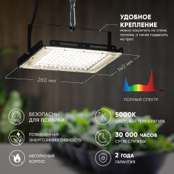 Фитопрожектор для растений светодиодный ЭРА FITO-80W-Ra90-LED-Y полного спектра | Фито прожекторы