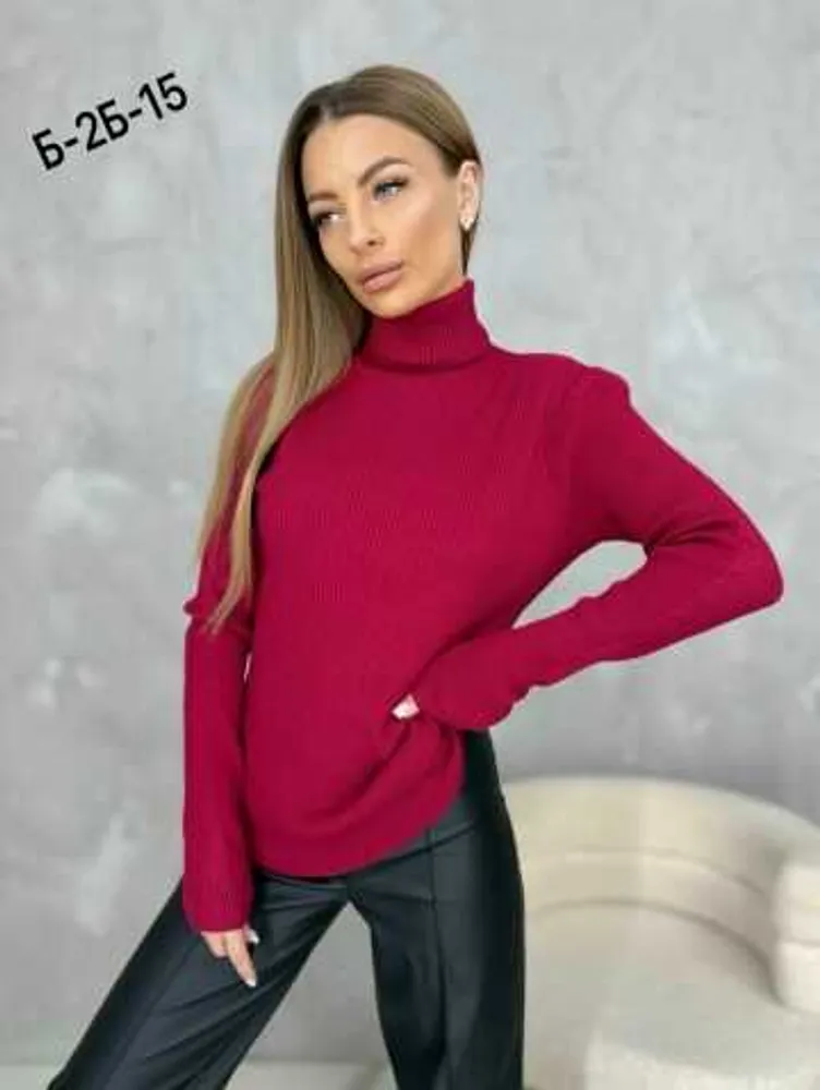 Водолазка 414671815204 (188577202) Fabrika
