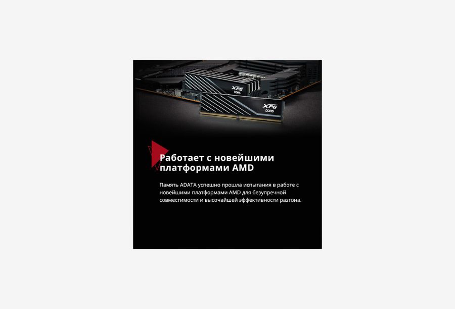 AX5U5600C4616G-SLABWH_0526930103502