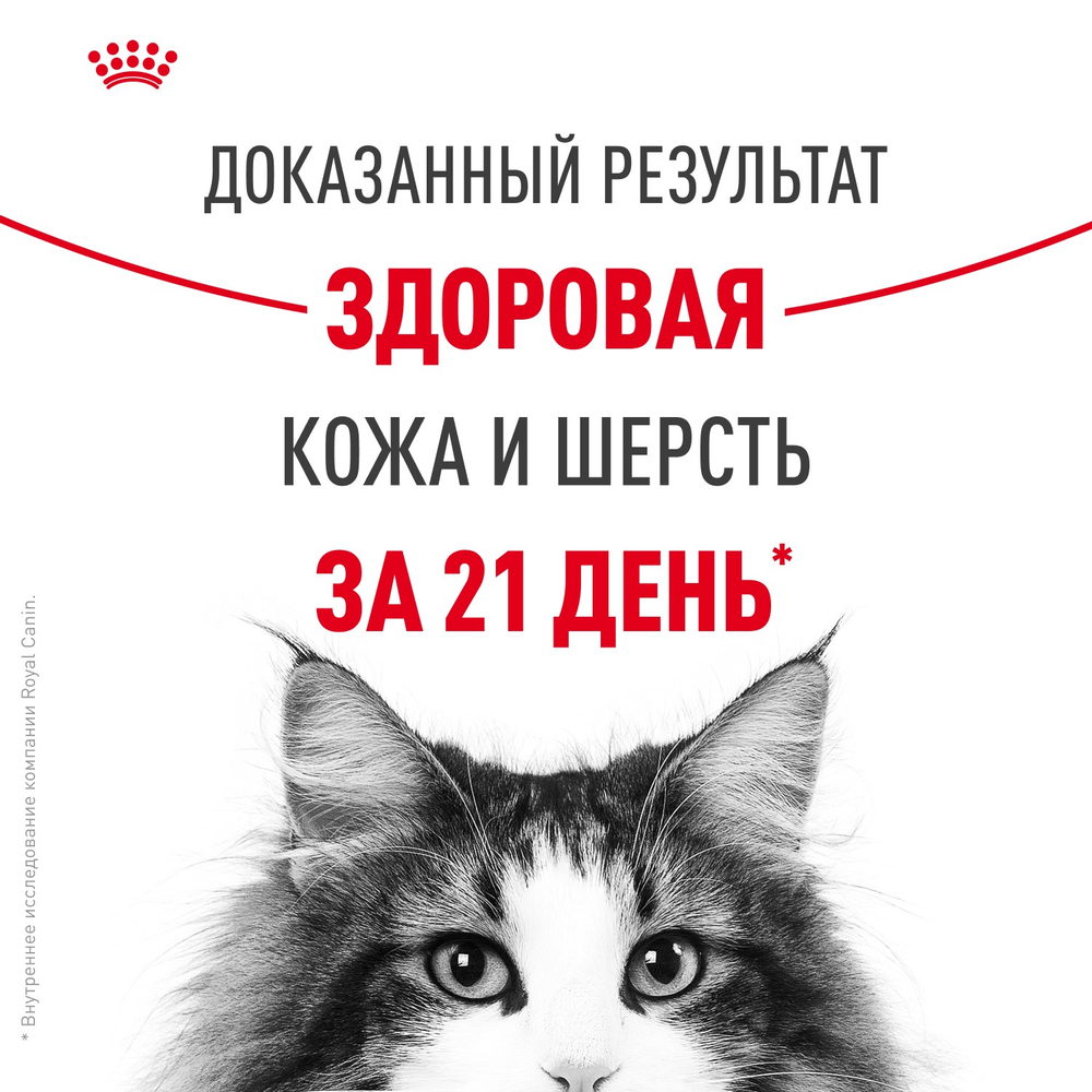 Royal Canin Hair&Skin Care Хэйр Энд Скин Кэа Корм сухой для взрослых кошек поддержание здоровья кожи и шерсти 10кг