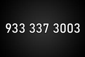 9333373003