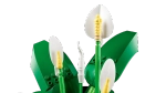 Конструктор LEGO Botanical Collection 11504 Peace Lily