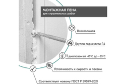 Пена монтажная профессиональная DONEWELL 45