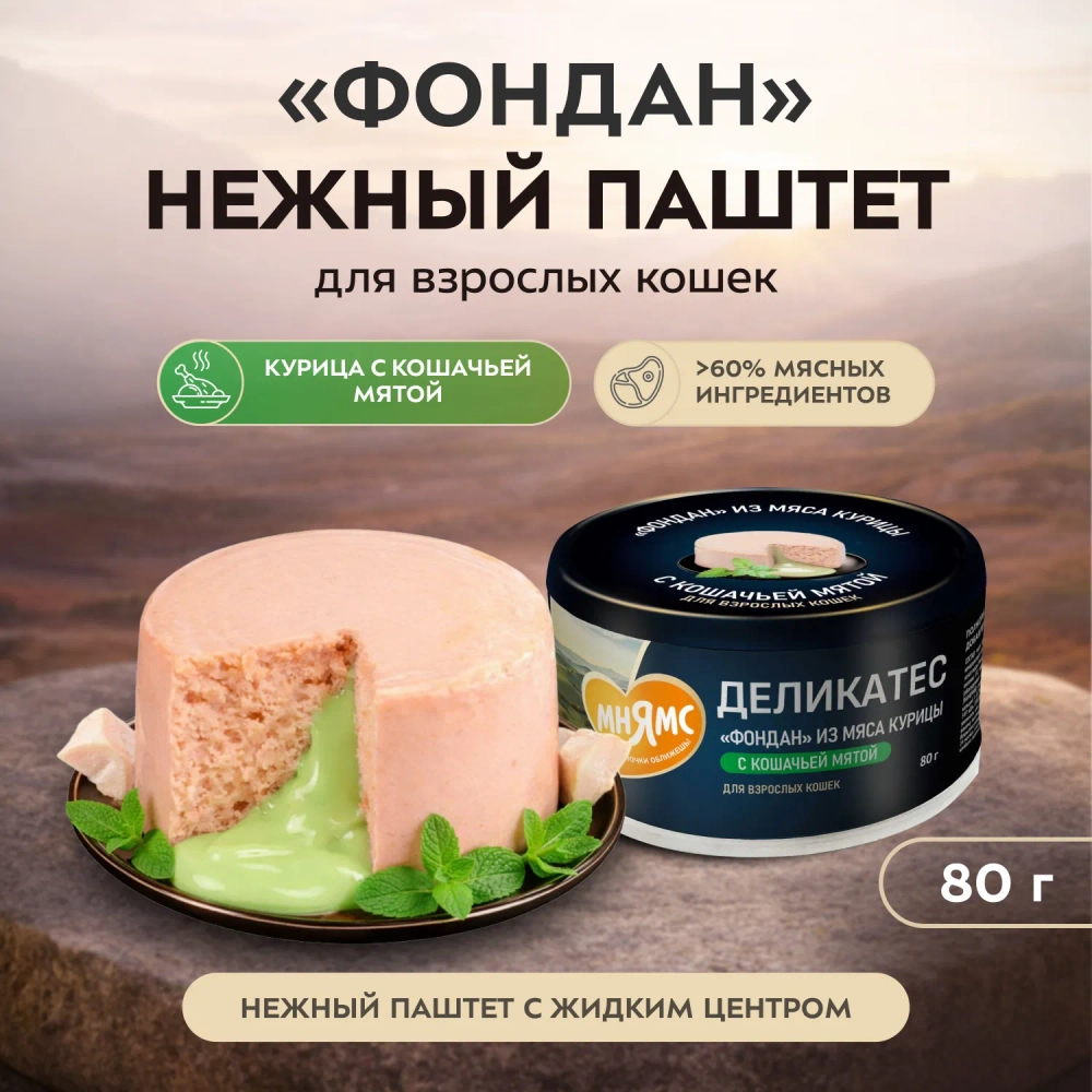 Влажный корм Мнямс Деликатес "Фондан" из мяса курицы с кошачьей мятой для кошек 6 шт по80 г
