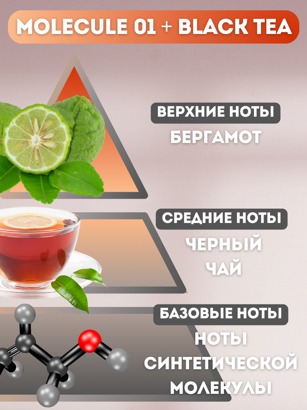 Отдушка для свечей и мыла Molecule 01 + Black Tea 30 мл