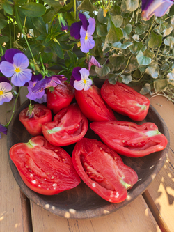 Розовый рог или Андский розовый (Cornurose или Andine Cornue)