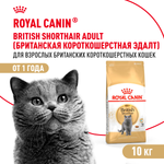 Royal Canin British Shorthair Adult Британская короткошерстная Эдалт Корм сухой для взрослых британских кошек 10кг