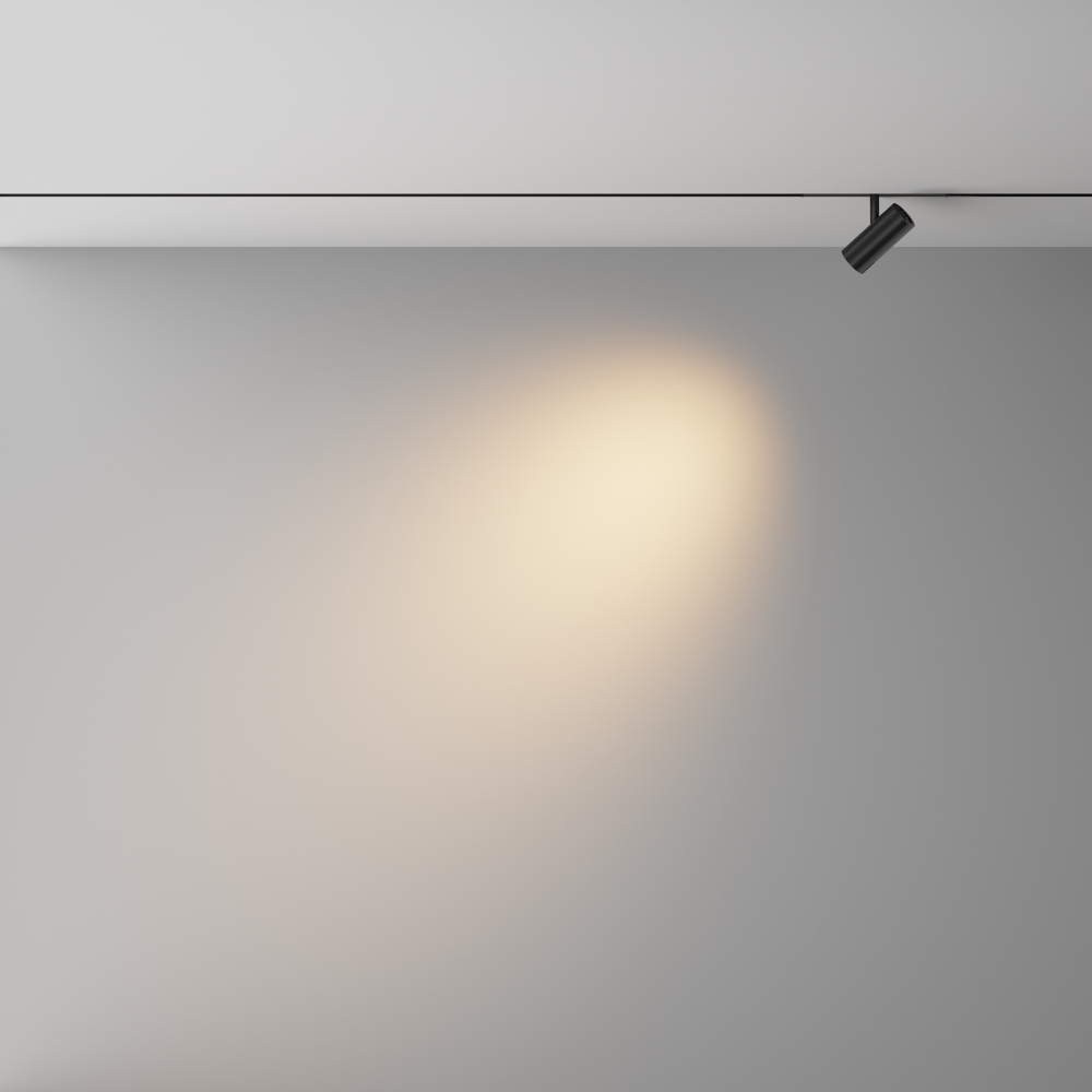 Трековый светодиодный светильник Maytoni Exility X Focus Led TR243-4-5WTW-DSZ-B