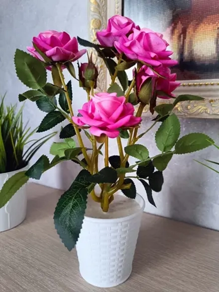 Роза кустовая бархатная, без кашпо.