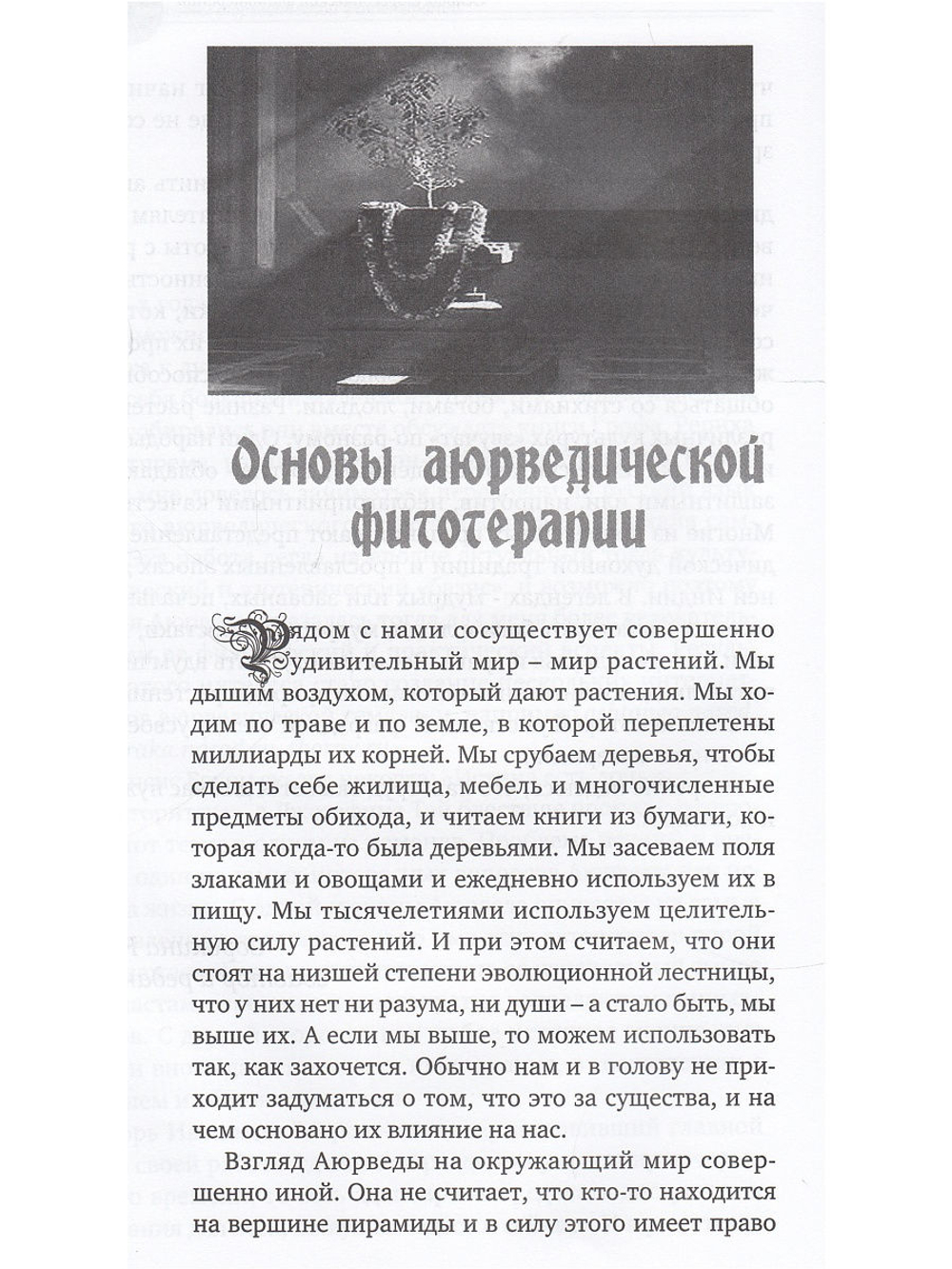 Основы аюрведической фитотерапии
