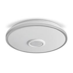 Потолочный светильник Freya FR6226CL-L36W