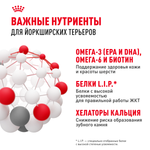 Royal Canin Yorkshire Terrier Adult Йоркширский Терьер Эдалт Корм сухой для взрослых собак породы Йоркширский терьер от 10 месяцев 3кг