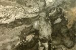 Столешница\3050\600\40(4 КАТЕГОРИЯ (40 мм)
