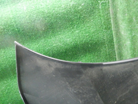 DSCN5911.JPG