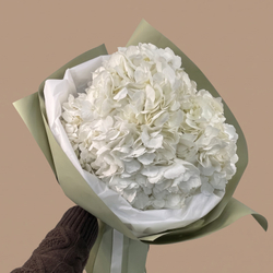 Пять белых гортензий Pure White