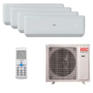 IGC