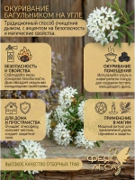 Багульник болотный (побеги) для очищения и защиты