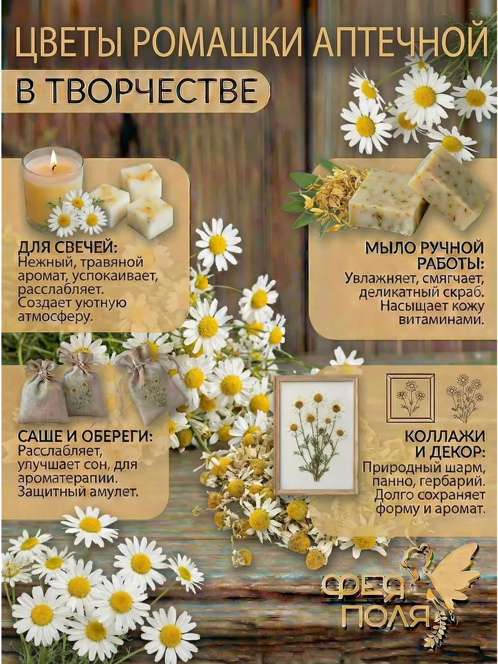 Ромашка аптечная здоровья, творчества и солнечной магии