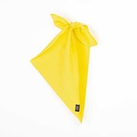 Комплект шапочка и платочек "Вb team yellow" 0+