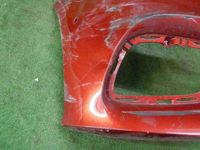 DSCN1666.JPG