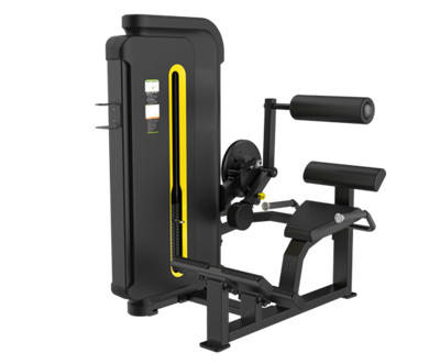 Разгибание спины SVENSSON INDUSTRIAL H3031 Matte black