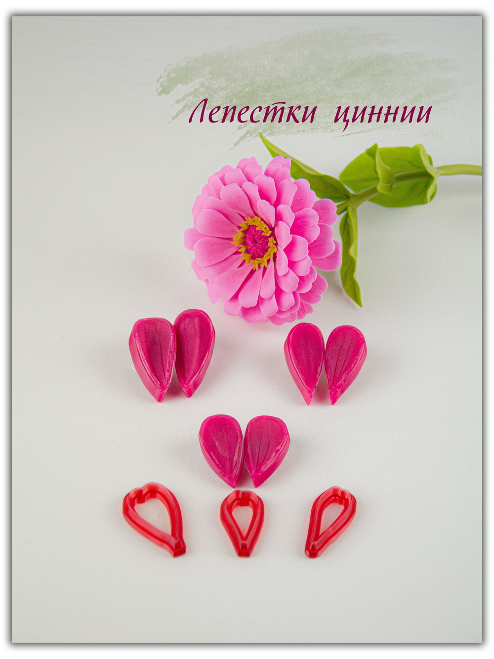 Лепестки циннии