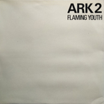 Flaming Youth / Ark 2 (LP)