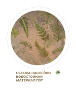 Наклейки флора на прозрачном фоне сиреневые цветы