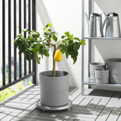 IKEA NYPON  (ИКЕА НИПОН)  -  Кашпо - для дома/улицы серый 24 см
